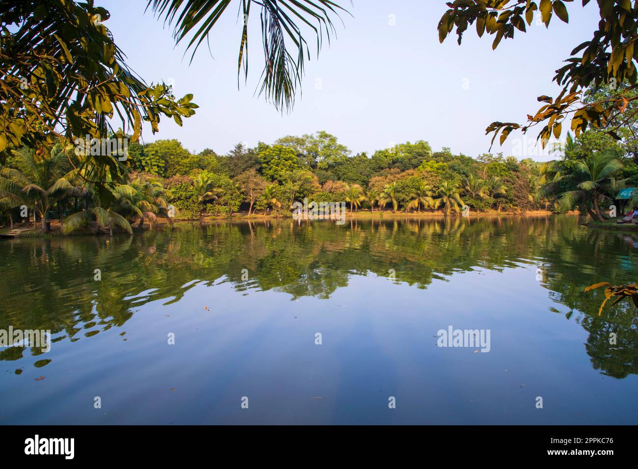 Vista del paesaggio naturale riflessione degli alberi nell'acqua del lago contro il cielo blu Foto Stock