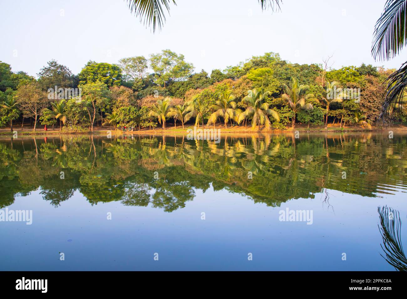 Vista del paesaggio naturale riflessione degli alberi nell'acqua del lago contro il cielo blu Foto Stock