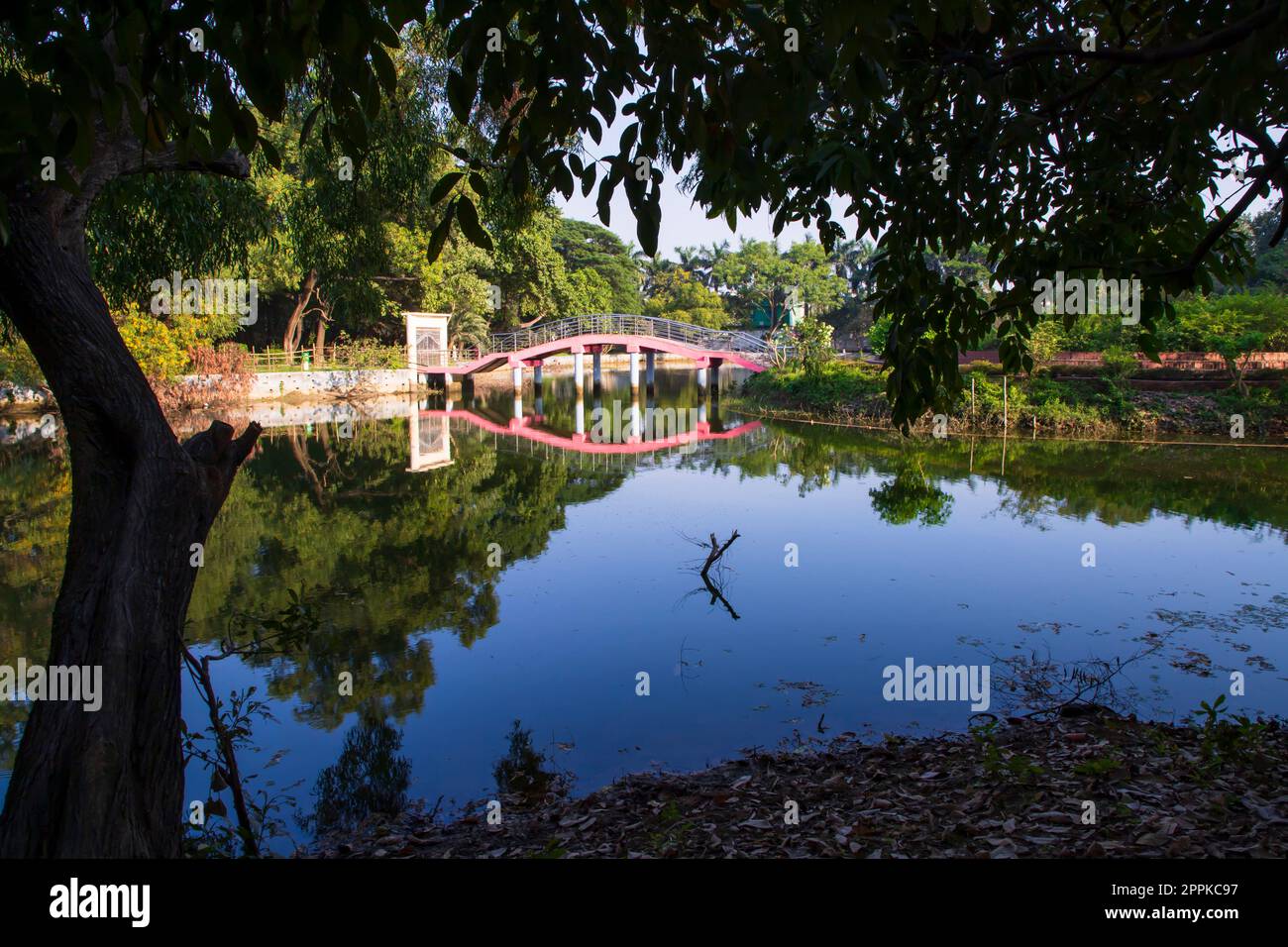 Vista del paesaggio naturale riflessione degli alberi nell'acqua del lago contro il cielo blu Foto Stock