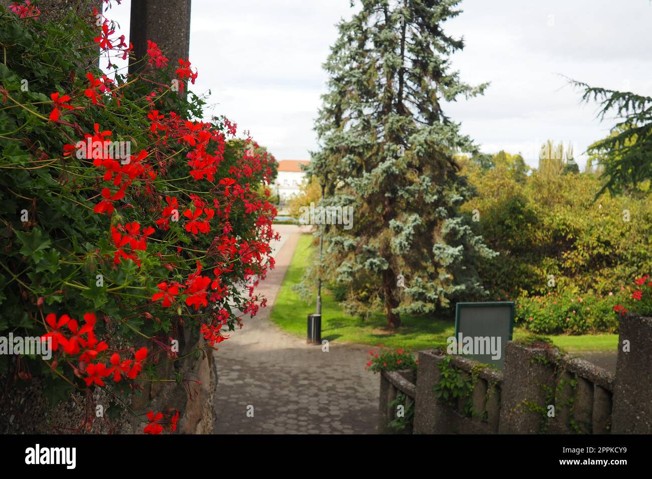 Banja Koviljaca, Serbia, Guchevo, Loznica, settembre 30, 2022. Centro di riabilitazione con acque minerali di zolfo e ferro. Sentieri per passeggiate. Attività di giardinaggio e turismo Banja Koviljacha Foto Stock