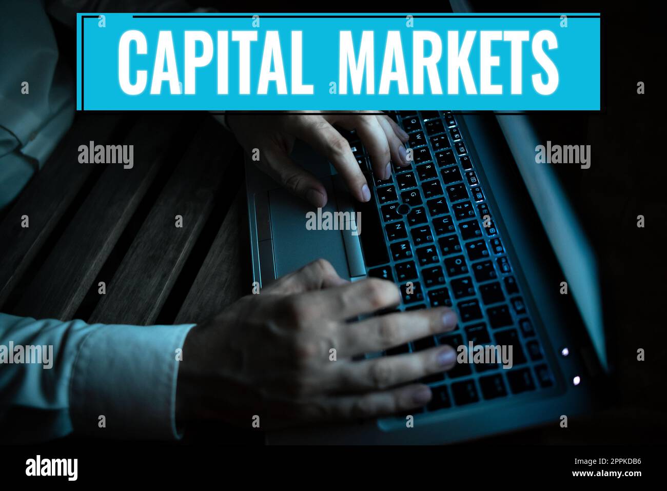 Scrittura visualizzazione testo mercati capitali. Concetto che significa consentire alle aziende di raccogliere fondi fornendo sicurezza di mercato Foto Stock