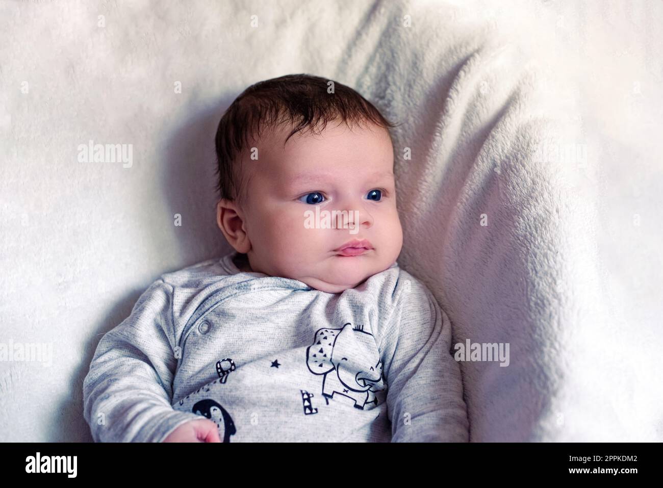 Ritratto di un grazioso neonato europeo con occhi blu su sfondo bianco Foto Stock