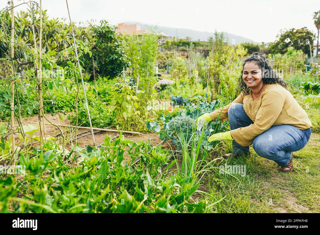 Donna indiana che lavora al suo giardino di verdure biologiche all'aperto - cibo locale e concetto di sostenibilità Foto Stock