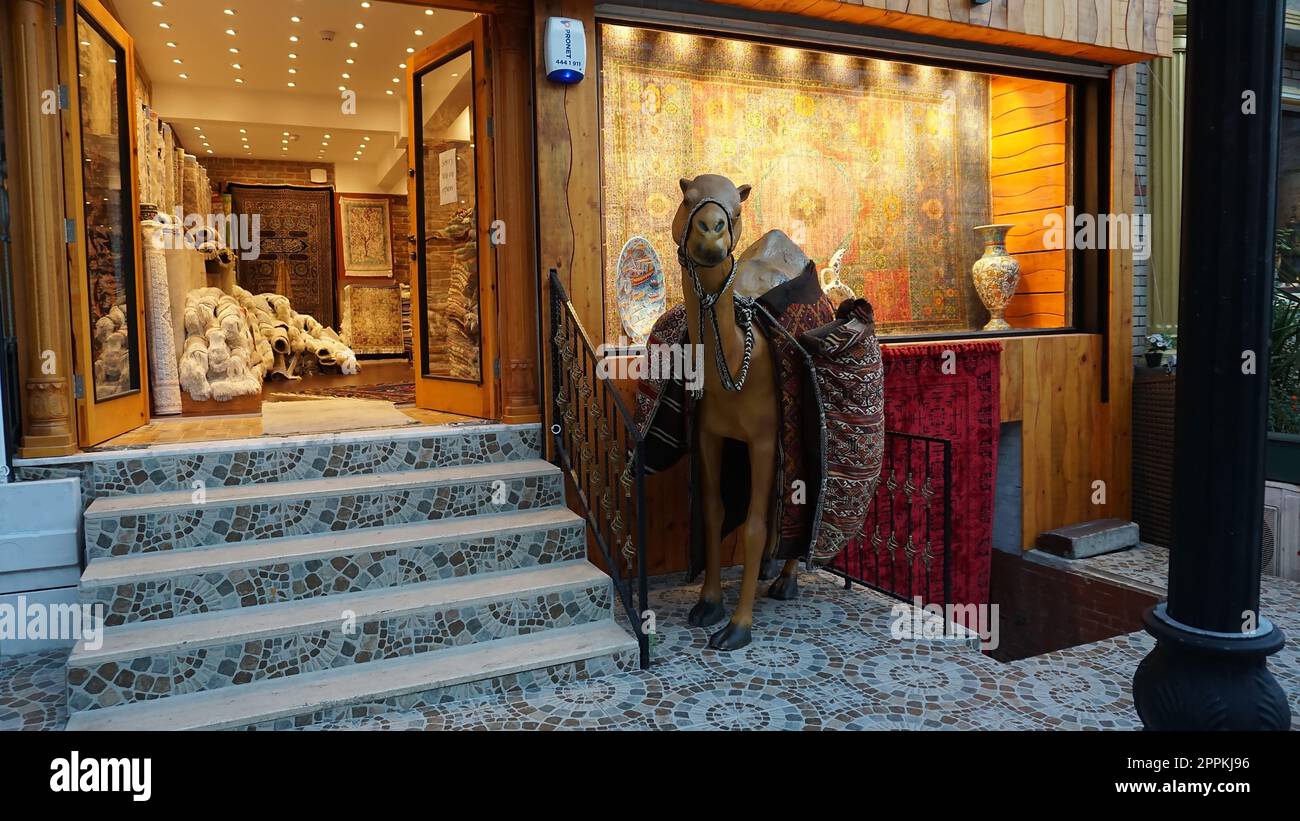 Istanbul, Turchia - 14 settembre 2022: Vista sulla strada con cammello a Sultanahmet Foto Stock