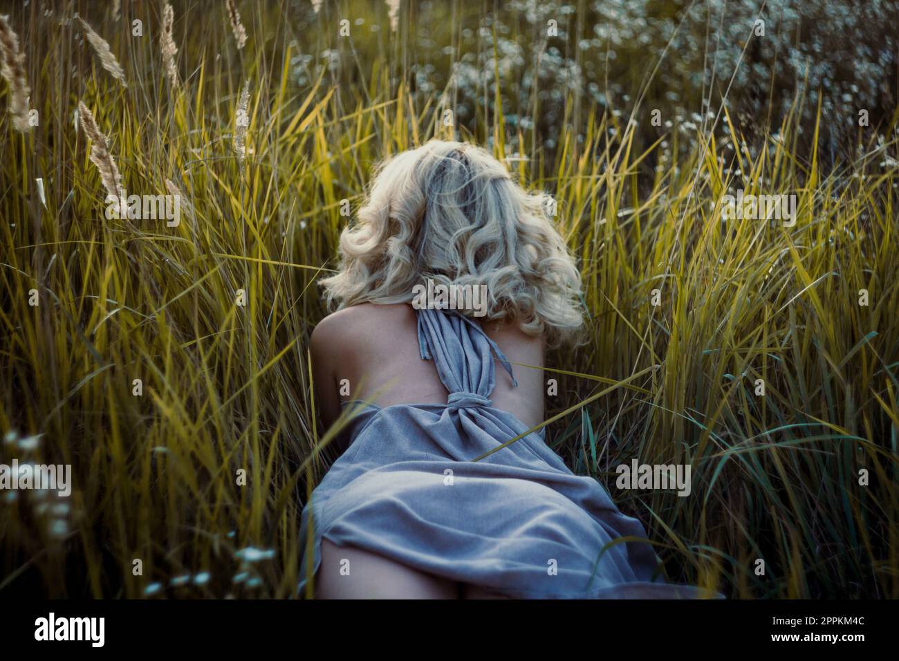 Primo piano donna bionda pelo sdraiata in erba alta concetto foto Foto Stock