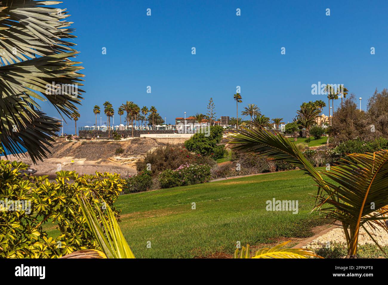 Area verde a Playa de FaÃ±abÃ Foto Stock