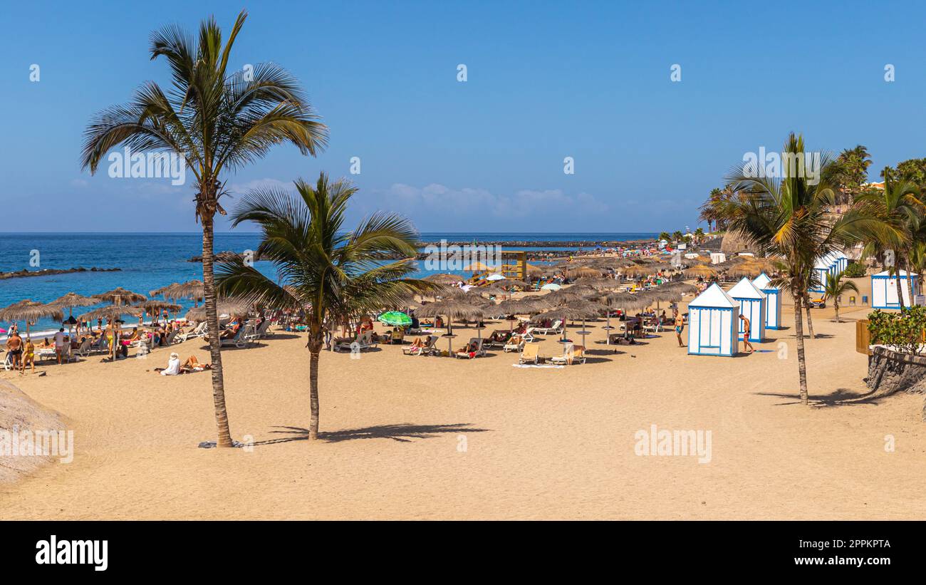 Palme sulla spiaggia di Playa del Duque Foto Stock