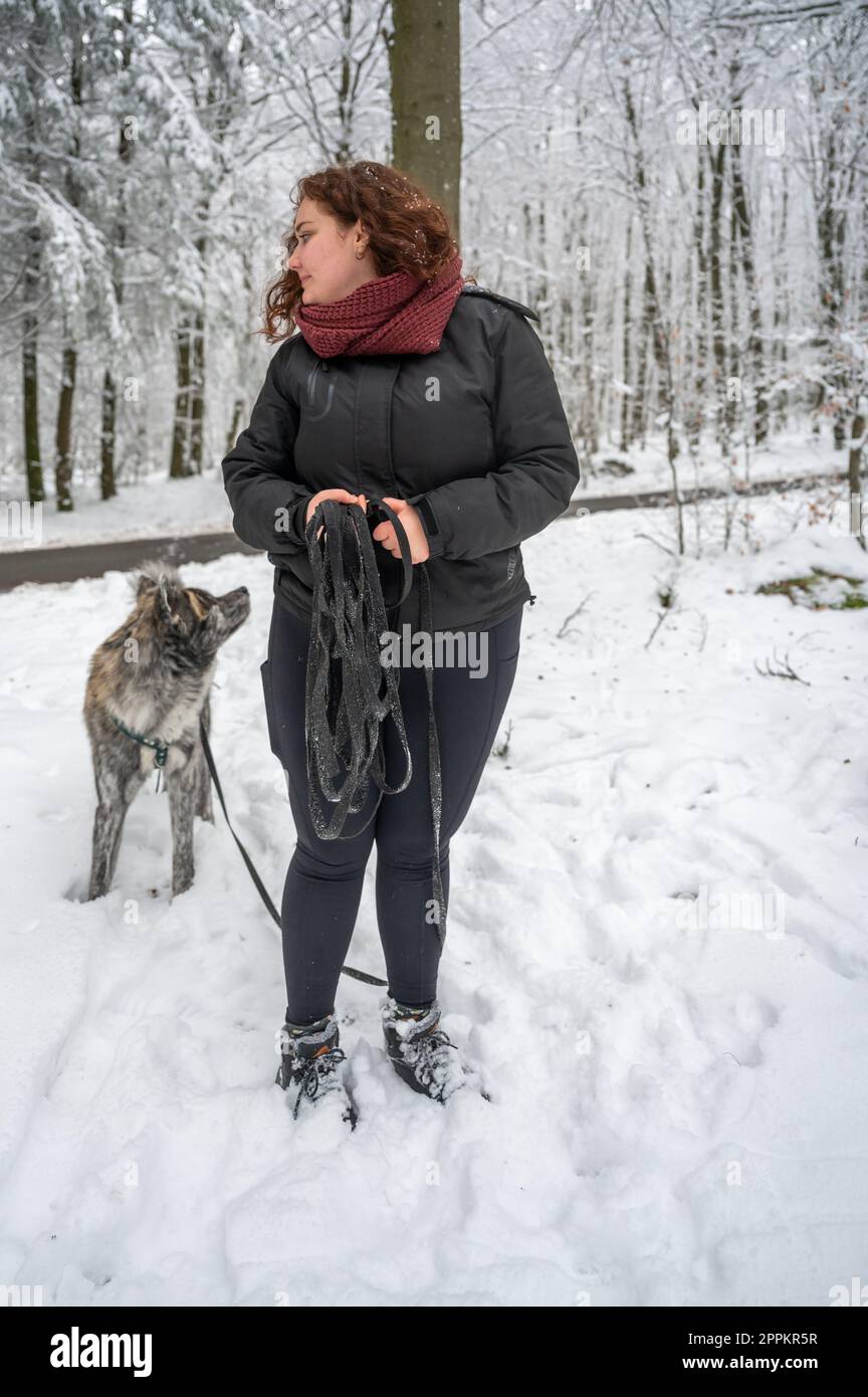 Donna con capelli ricci e abiti caldi cammina il suo cane akita inu con pelliccia grigia durante l'inverno con la neve, entrambi guardando via Foto Stock