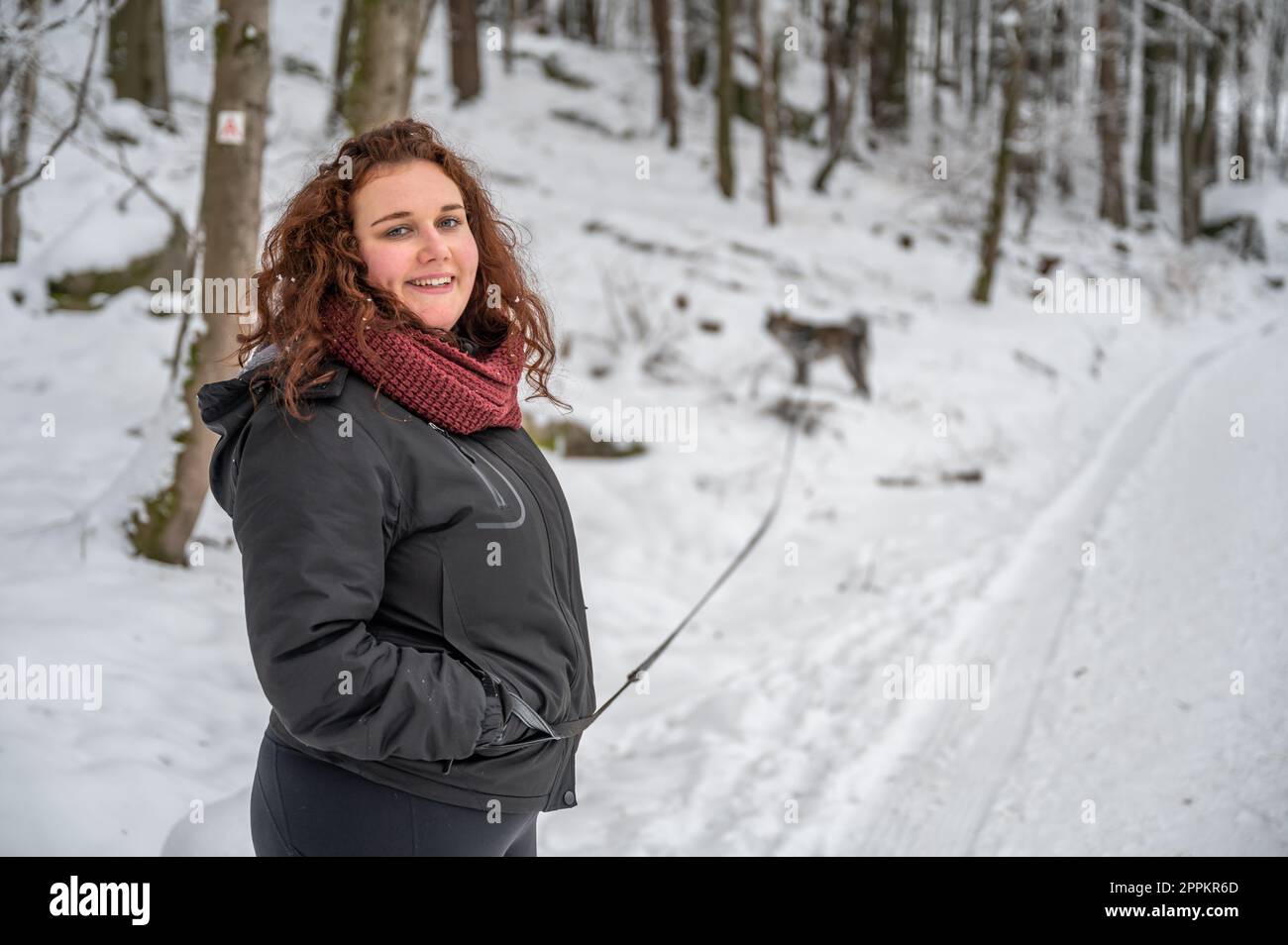 Una giovane donna con capelli ricci marroni e abiti caldi sorride e guarda la macchina fotografica, cammina il suo cane akita inu grigio nella foresta durante l'inverno con molta neve Foto Stock