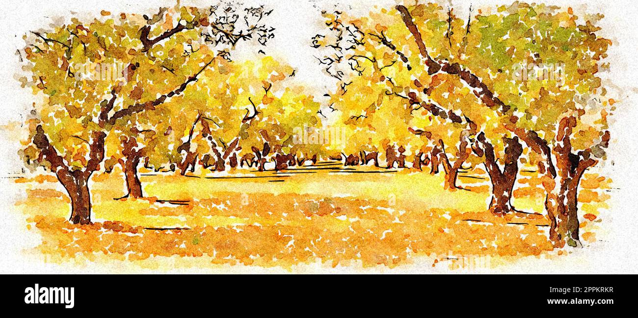 Illustrazione creativa, design artistico vintage ad acquerello. Ulivo. Design vintage, sfondo naturale. Foto Stock