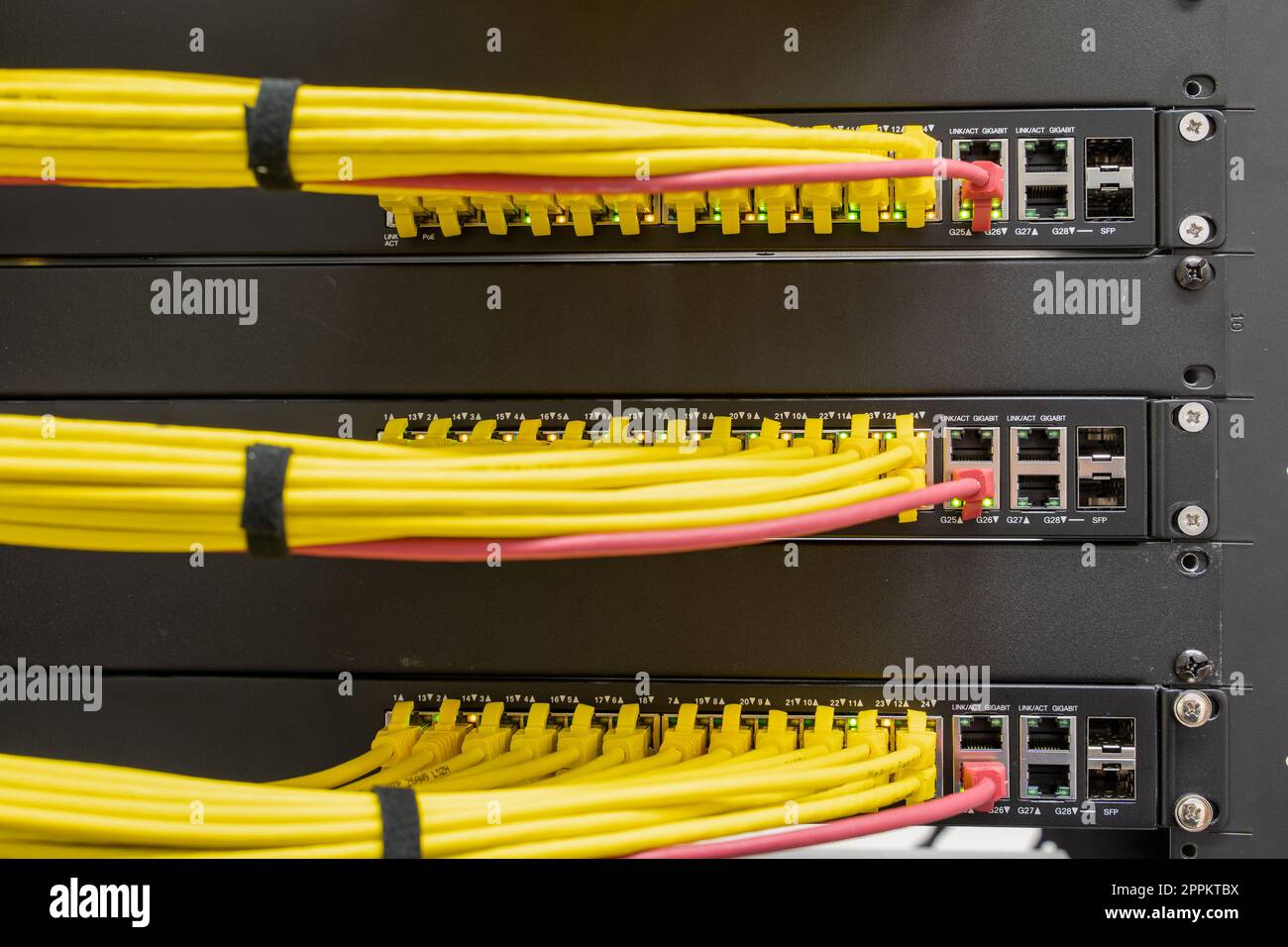 Cavi di rete ordinati, RJ45, collegati a switch e router, data center Foto Stock