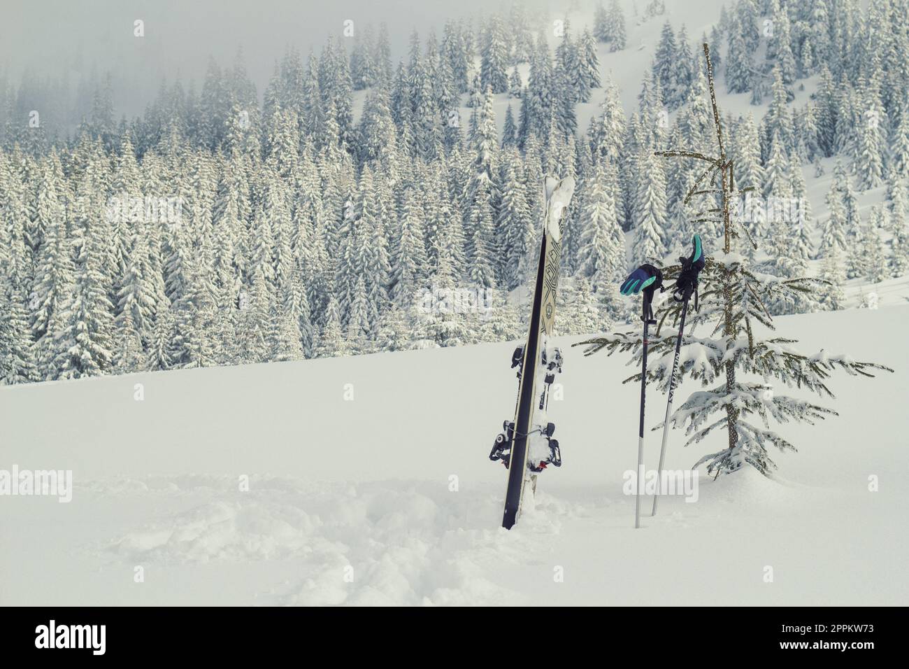 Attrezzatura da sci sul paesaggio di montagna foto Foto Stock