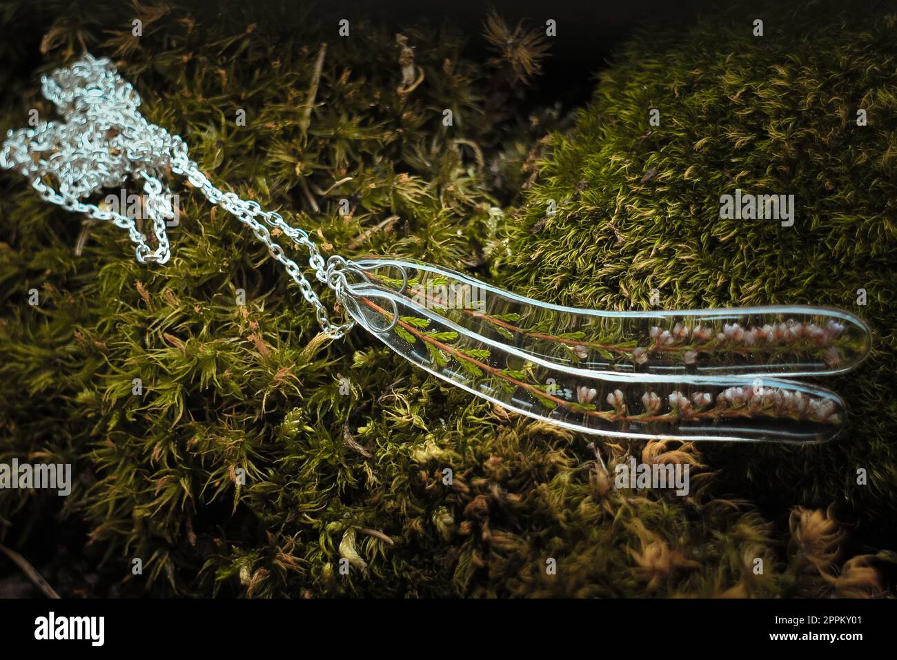 Primo piano con pendenti trasparenti con fiori selvatici e una foto di concetto della catena argentata Foto Stock