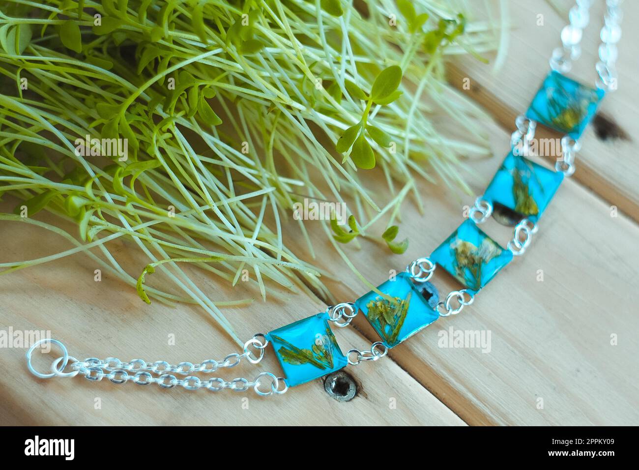 Primo piano braccialetti blu con fiori secchi vicino a germogli concetto foto Foto Stock