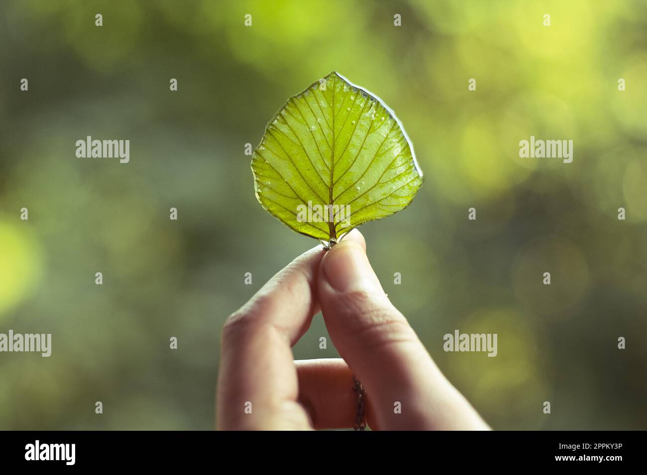 Primo piano femmina mano tenendo foglia in resina epossidica concetto foto Foto Stock