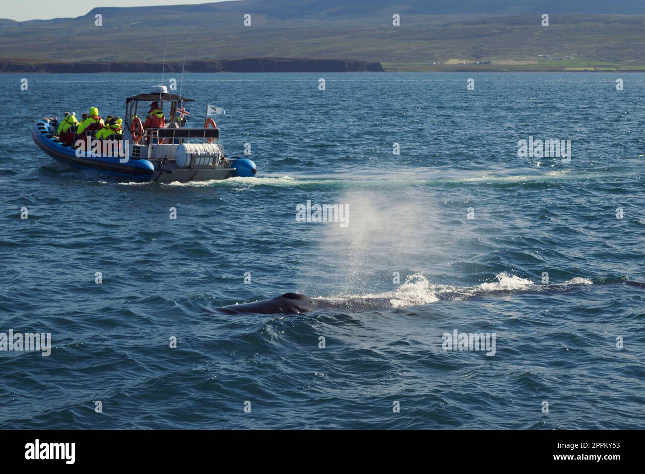 Barca passeggeri e nuoto mare balena paesaggio foto Foto Stock