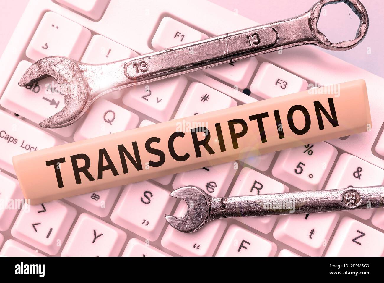 Segno di testo che mostra la trascrizione. Approccio aziendale versione scritta o stampata di qualcosa Copia cartacea dell'audio Foto Stock