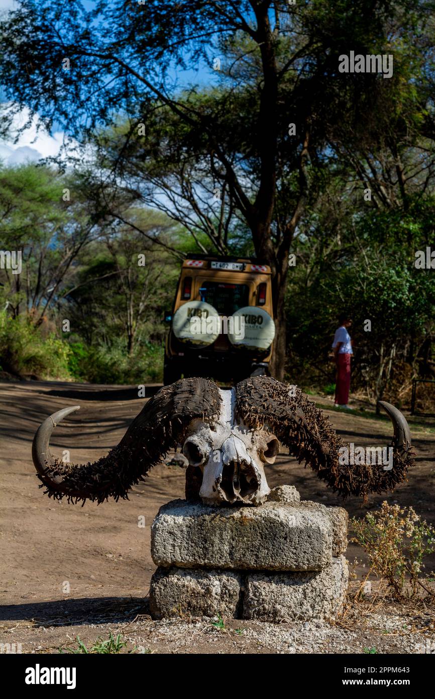 Paesaggio della savana nel Parco Nazionale del Serengeti Foto Stock