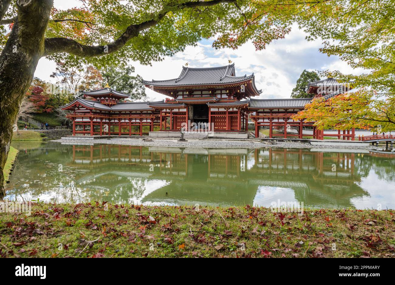 Il tempio Byodo-in (Phoenix Hall) è un tempio buddista di Uji, prefettura di Kyoto, Giappone Foto Stock