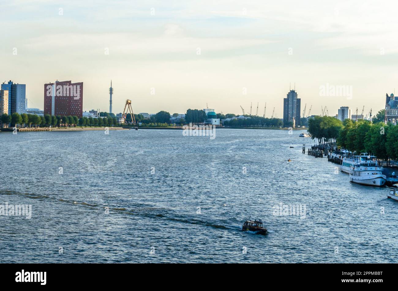 ROTTERDAM, PAESI BASSI - 26 AGOSTO 2013: Paesaggio urbano, vista dei grattacieli che si trovano vicino al fiume Mosa, nel quartiere Kop van Zuid a Rotterdam, Paesi Bassi Foto Stock