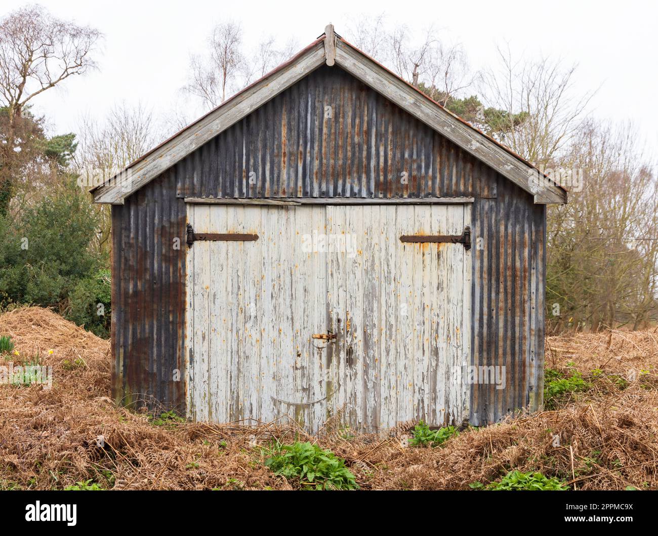Scendono i capannoni di costruzione di garage in pannelli arrugginiti, con vecchie porte di legno bianco, circondate da vegetazione rigogliosa. Suffolk. REGNO UNITO Foto Stock