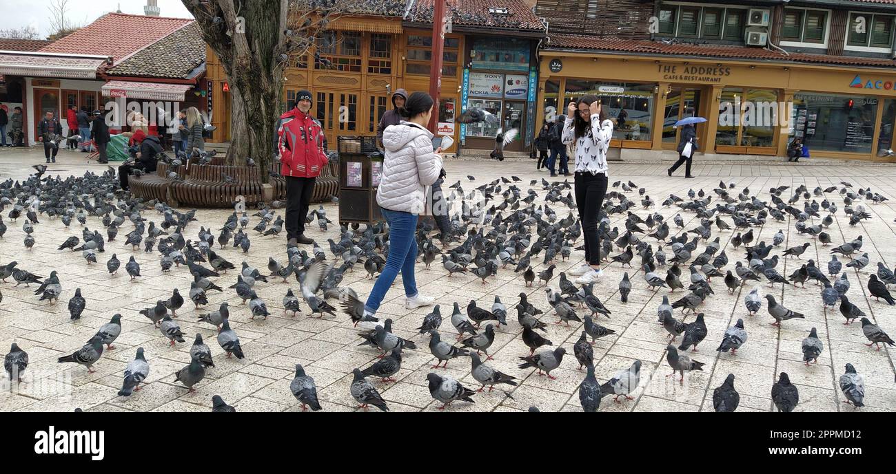 Sarajevo, Bosnia ed Erzegovina, 8 marzo 2020, la gente cammina per le strade centrali di Sarajevo dando da mangiare ai piccioni. Bascarsija e piazza. Monumenti islamici e siti turistici. Gli uccelli camminano sul marciapiede Foto Stock