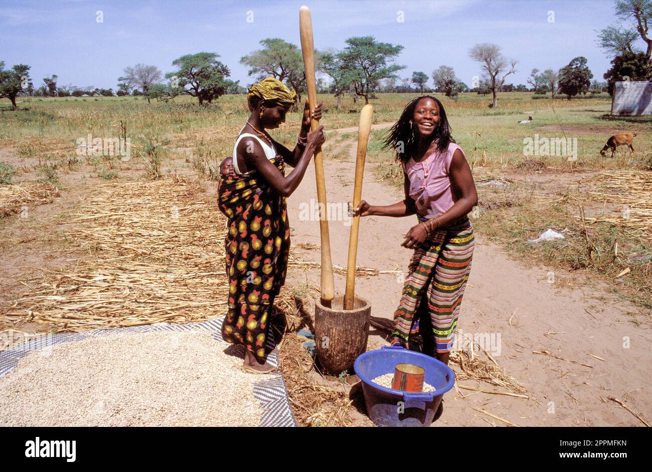 Senegal, Djogo due donne usano un mortaio per macinare il raccolto di mais in farina di mais Foto Stock