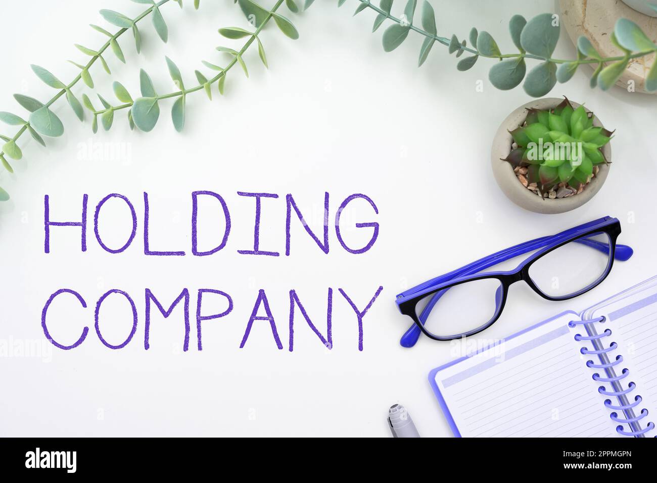 Scrittura con testo Holding Company. L'idea di affari immagazzina la proprietà ed altri beni finanziari in qualcuno possesso Foto Stock