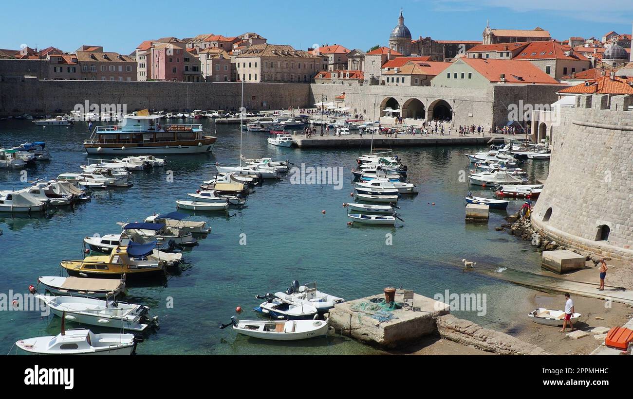 Dubrovnik, Croazia, 14 agosto 2022. Porto cittadino in estate, attrazione turistica. I turisti camminano, salgono su barche e navi e fanno gite in barca. Mare Adriatico. Un abitante del posto gioca con un cane. Vecchi forti. Foto Stock