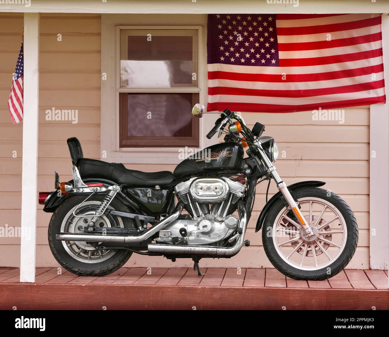 Hog Foto Stock