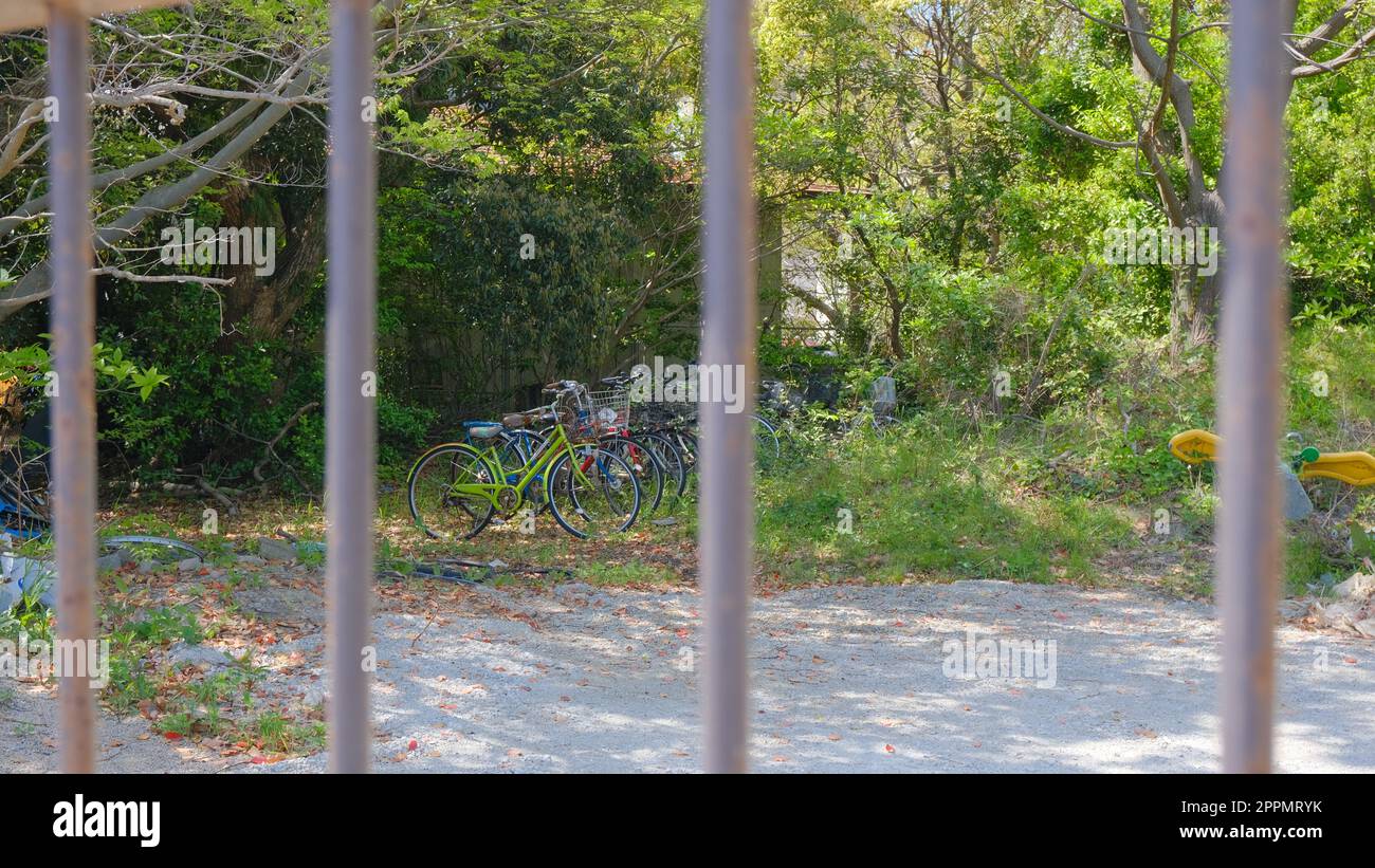 Biciclette abbandonate dietro un cancello a Ohori Park, Fukuoka, Giappone. Foto Stock