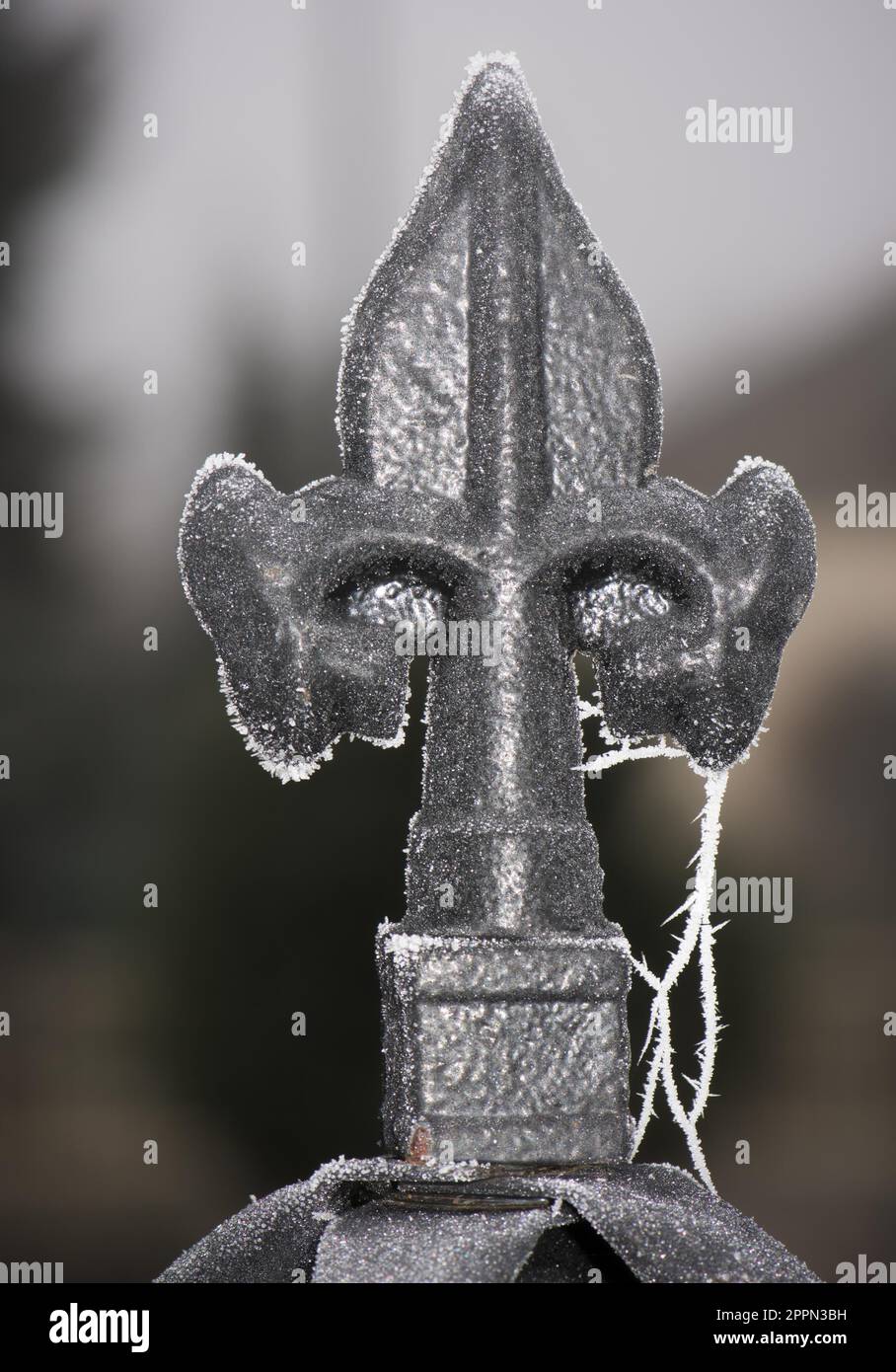 Primo piano di un'annata congelati spike metallici Foto Stock