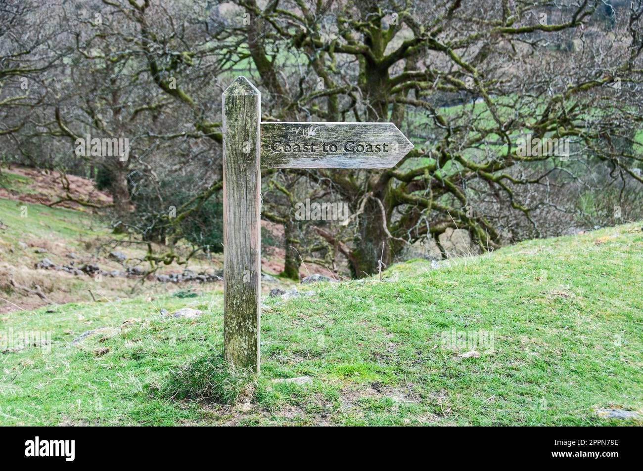 Intorno al Regno Unito - Finger Post per la strada da Coast a Coast a piedi e in bicicletta, Borrowdale Valley, Lake District, Regno Unito Foto Stock