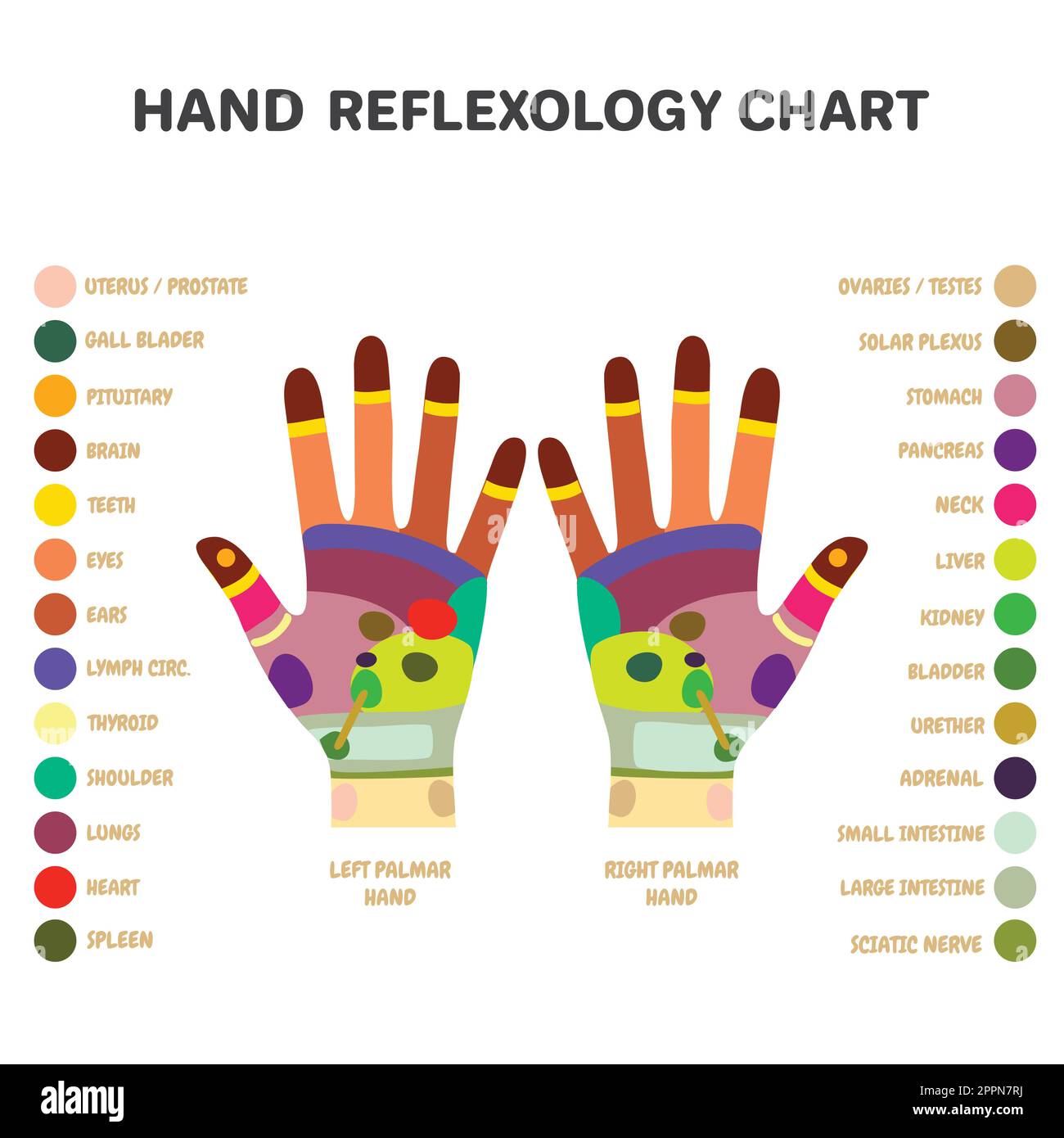 Alternativa tradizionale guarire, Reflexology punti di massaggio mano Illustrazione Vettoriale