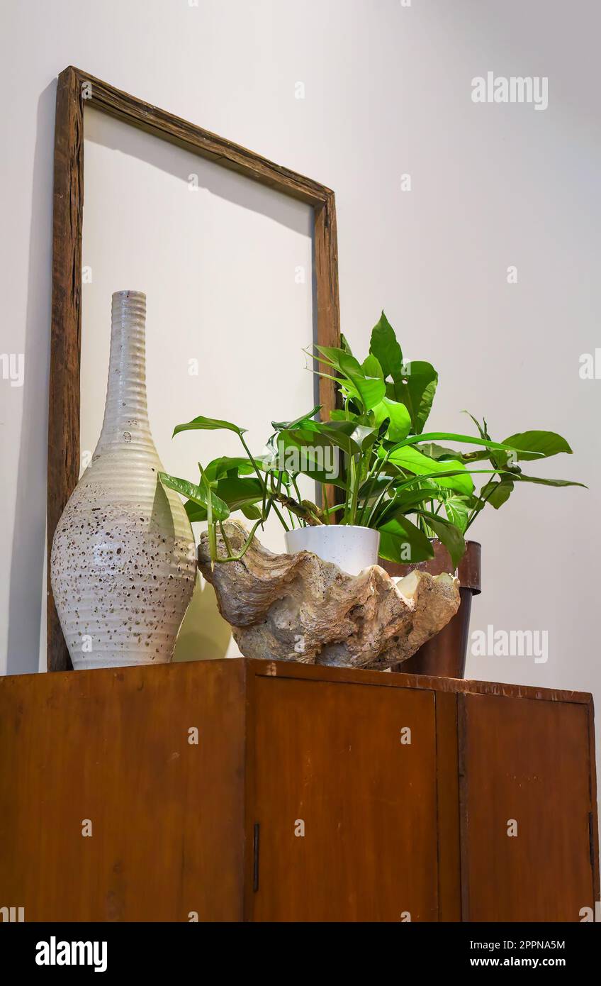 Dettagli vaso interno in conchiglia naturale con pianta e telaio vuoto per stile loft Foto Stock