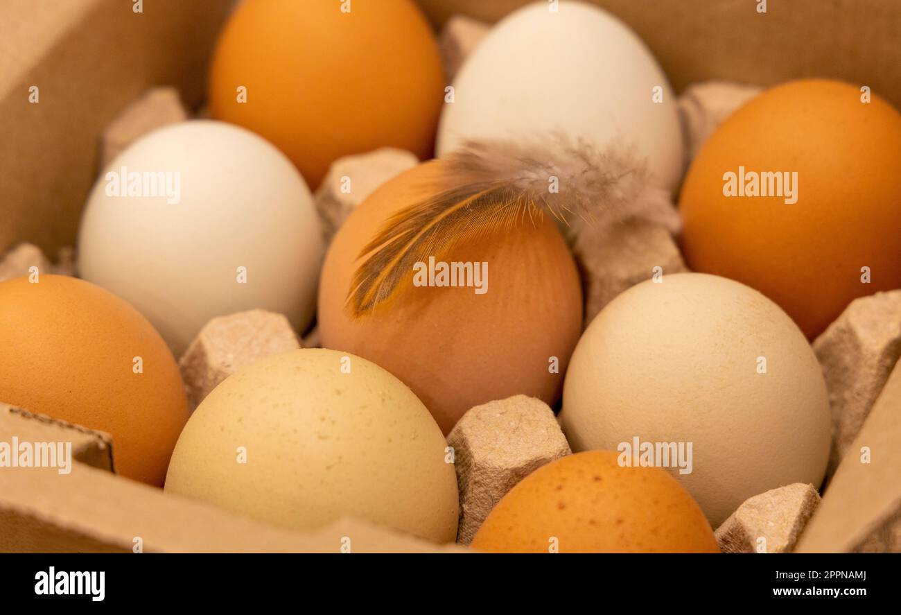 Uova fresche di pollo in colorati vassoi di cartone su uno sfondo bellissimo. Uova di gallina grezze organiche con guscio marrone come ingrediente proteico per eati sani Foto Stock
