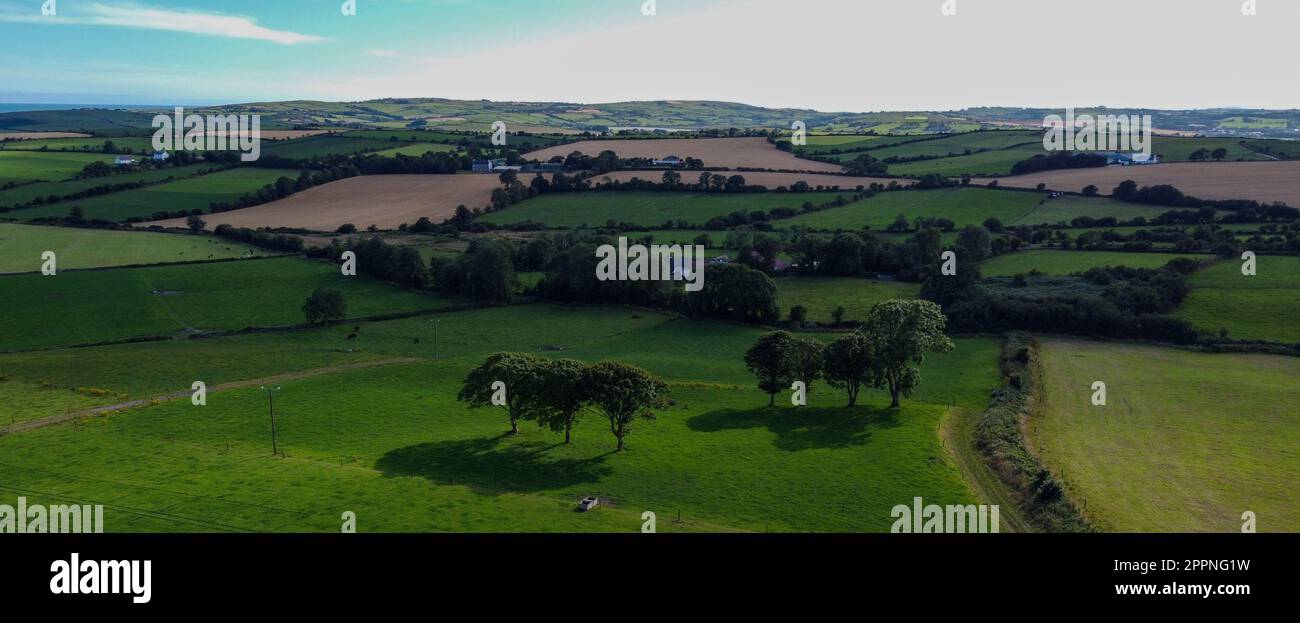 campi dell'azienda agricola, vista. Paesaggio agricolo in estate. Campi di erba e alberi. Verde prato campo con alberi Foto Stock