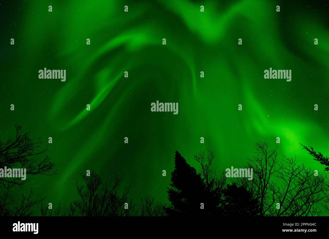 Aurora borealis sul Minnesota settentrionale il 23 2023 aprile. Foto Stock