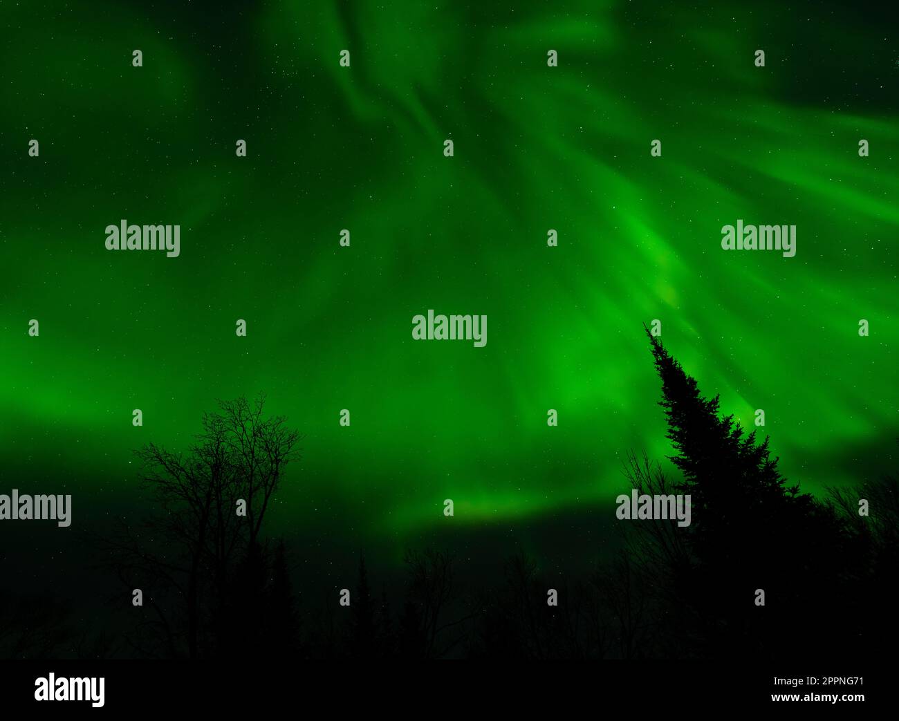Aurora borealis sul Minnesota settentrionale il 23 2023 aprile. Foto Stock