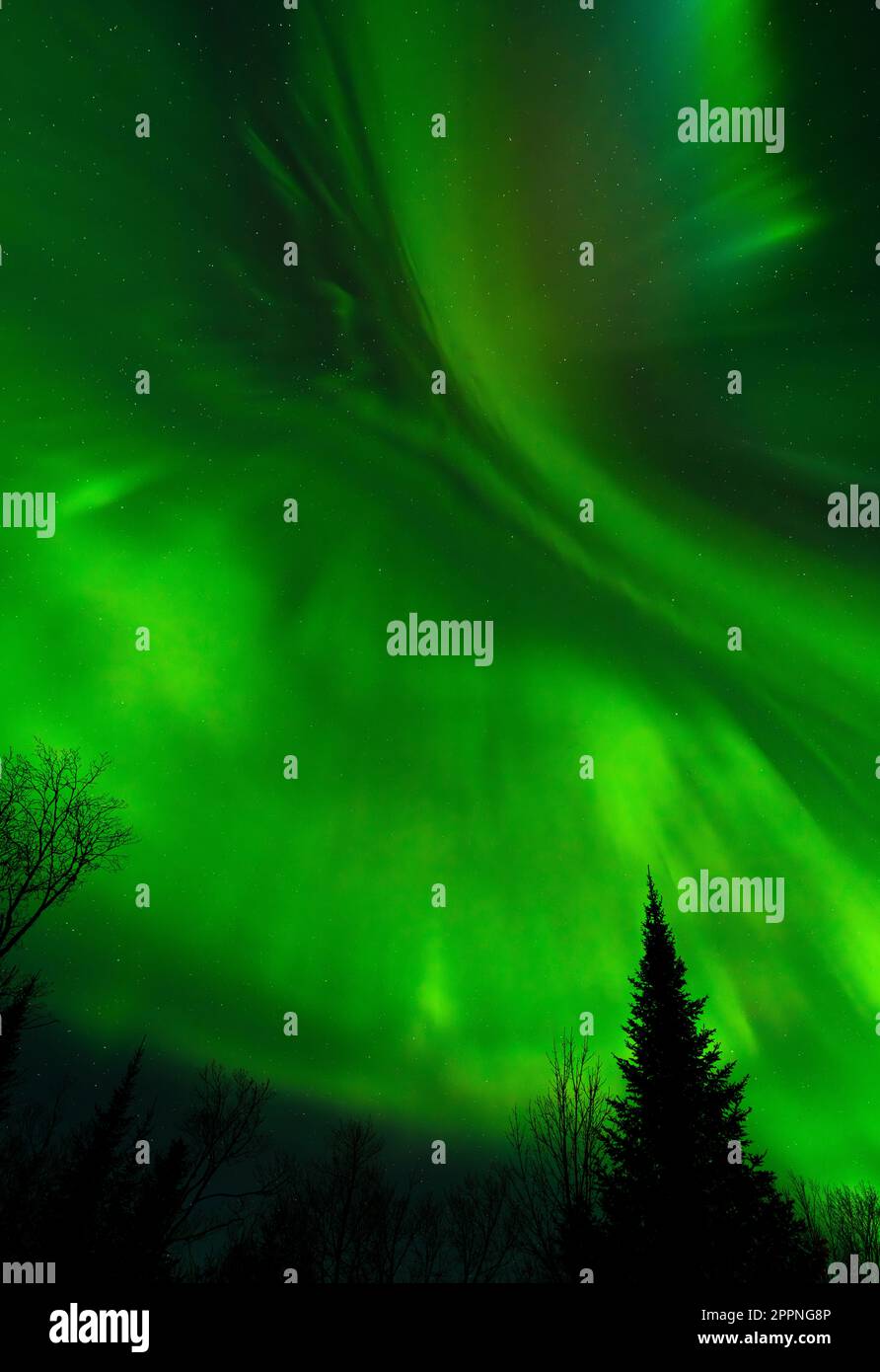 Aurora borealis sul Minnesota settentrionale il 23 2023 aprile. Foto Stock