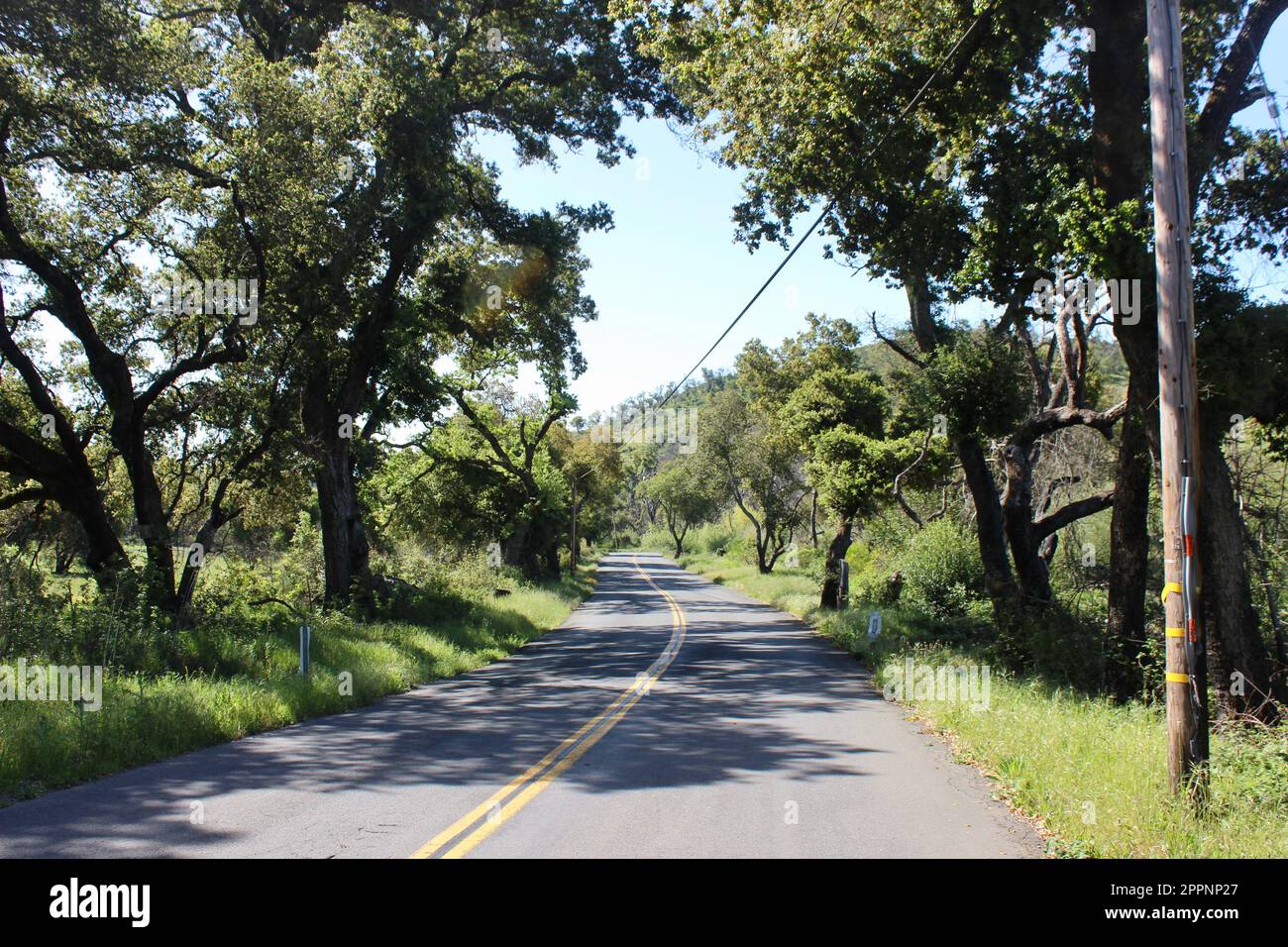 Soda Canyon Road, Napa, California Foto Stock