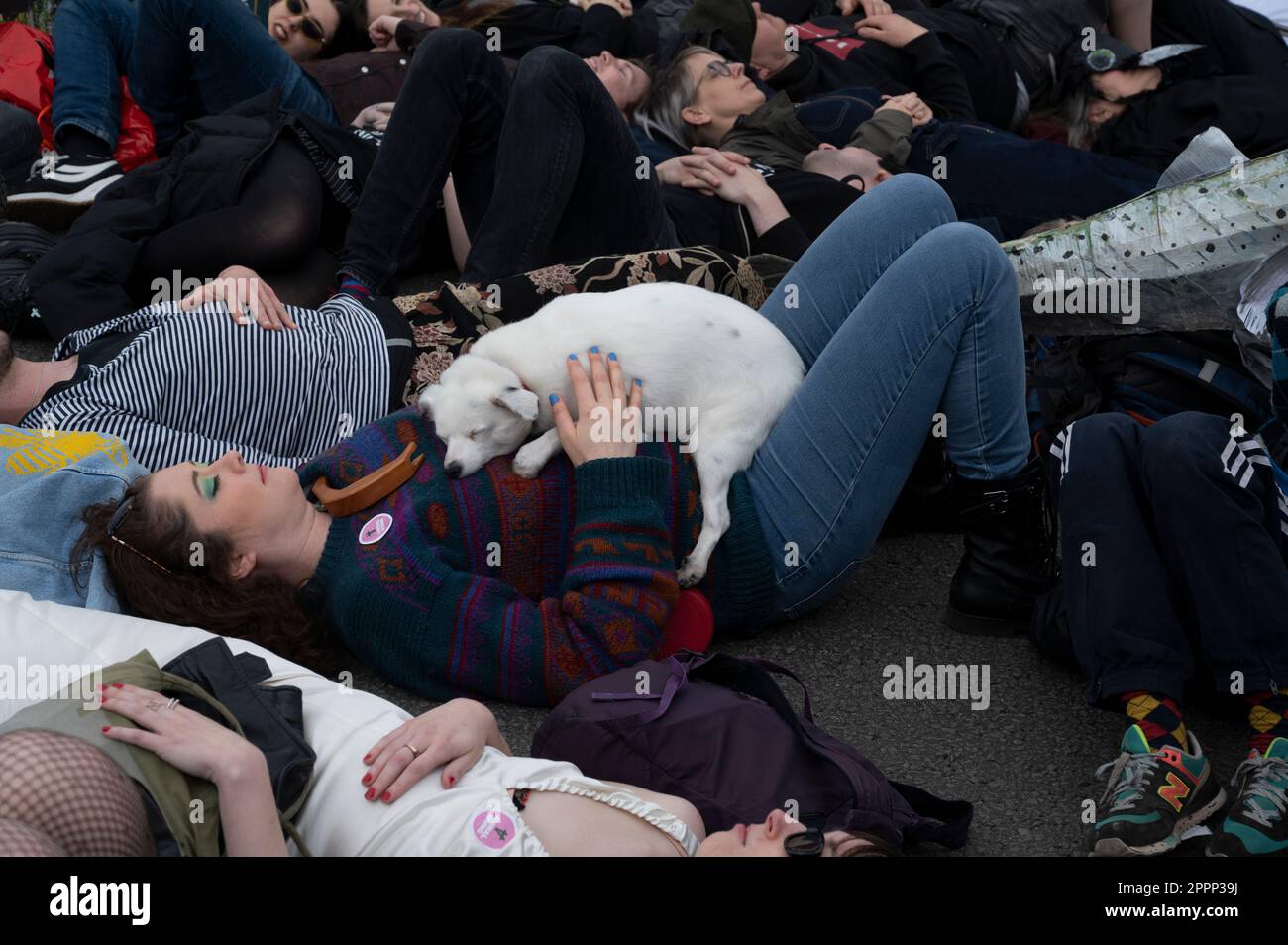 Il 22nd aprile, Giornata della Terra, attivisti provenienti da tutta la Gran Bretagna si sono incontrati in Piazza del Parlamento per chiedere al governo di fare di più per affrontare il cambiamento climatico. A s Foto Stock