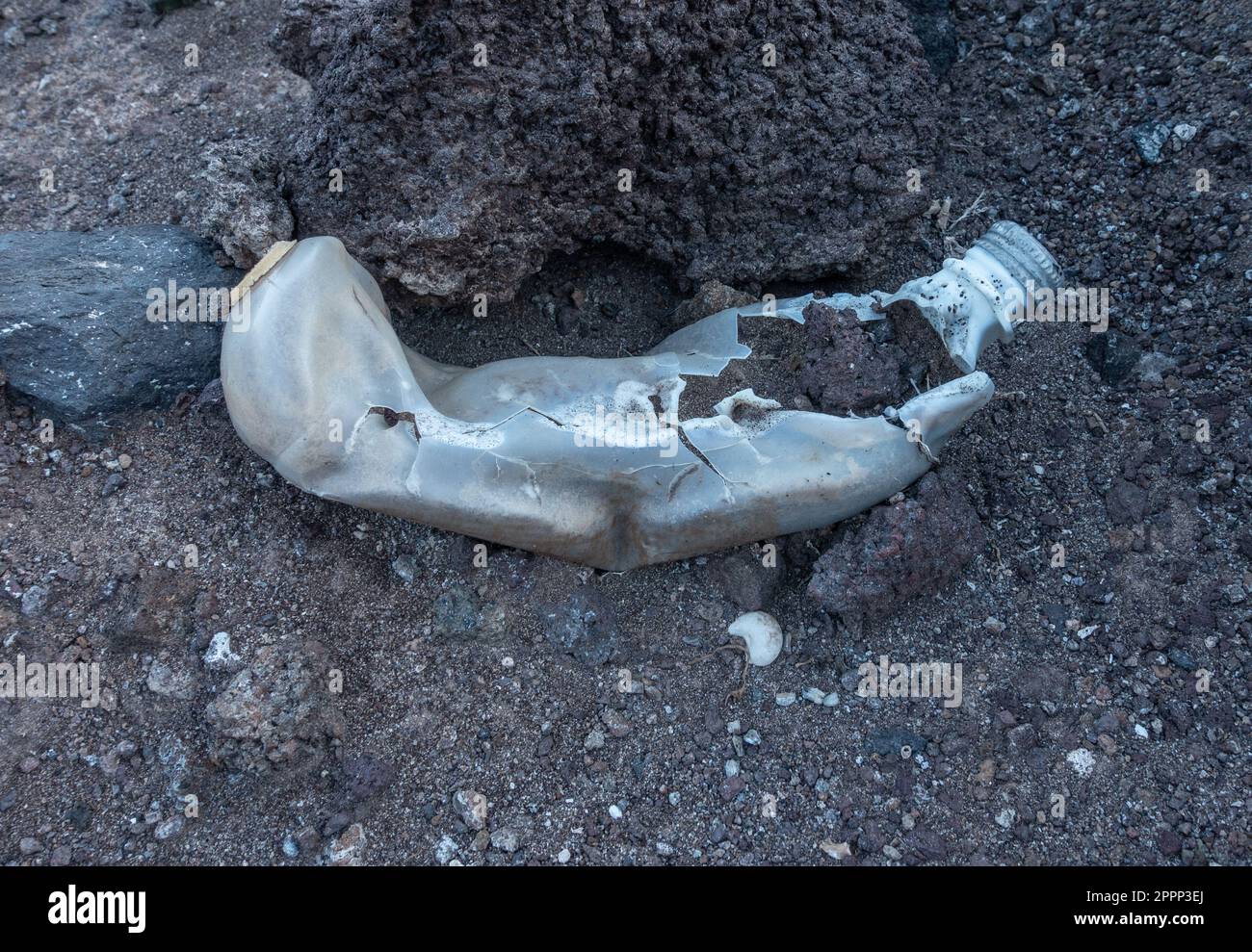 Bottiglie di plastica degradanti in discarica. Foto Stock