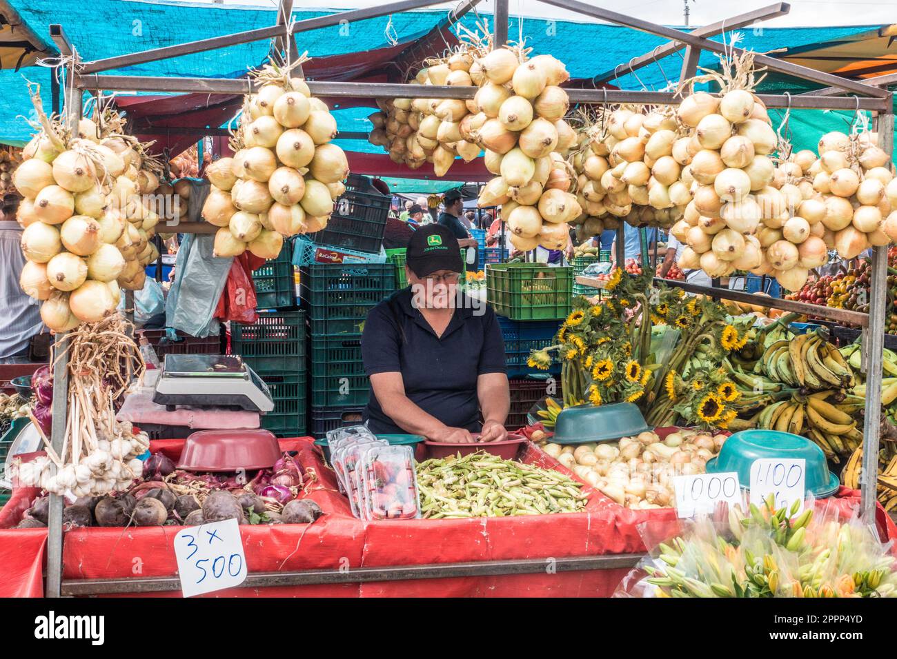 Donna che scuela piselli al suo stand in un mercato agricolo in Costa Rica. Foto Stock