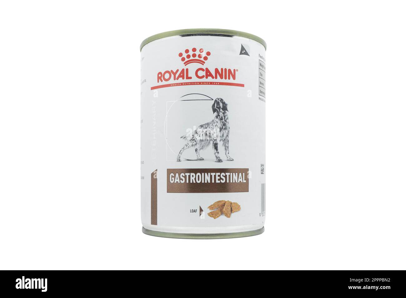 Yerevan, Armenia, aprile. 10, 2023: Pacchetto con cibo per animali da compagnia gastrointestinale Royal Canin. Royal Canin lattina di cibo per cani in scatola in piedi su un tavolo bianco Foto Stock