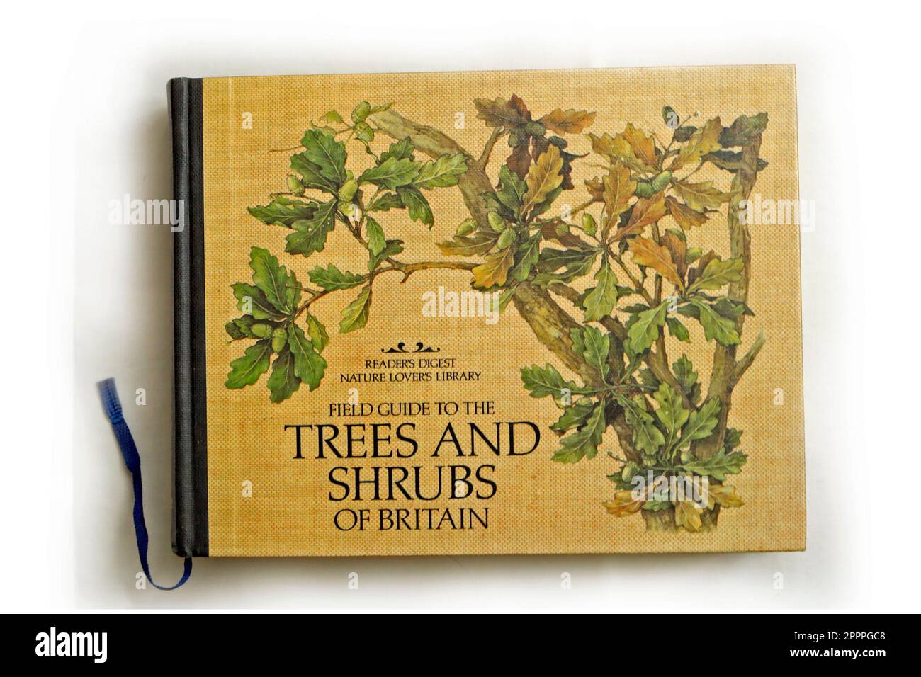 Libro hardback su sfondo bianco - Reader's Digest Nature Lovers library - Field Guide to the Trees and Shrubs of Britain Foto Stock