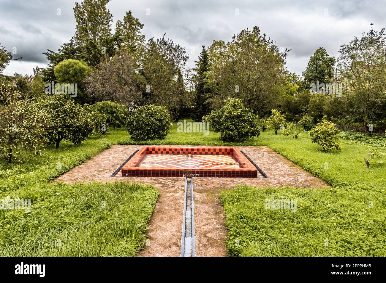 Parco o giardino con erba in crescita e alberi adagiato in pavimento piastrellato quadrato Foto Stock