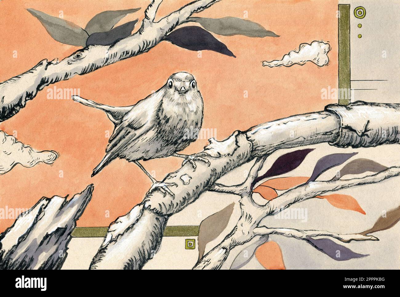 Disegno a inchiostro di un ladro europeo con rami e foglie. Illustrazione tradizionale su carta. Foto Stock