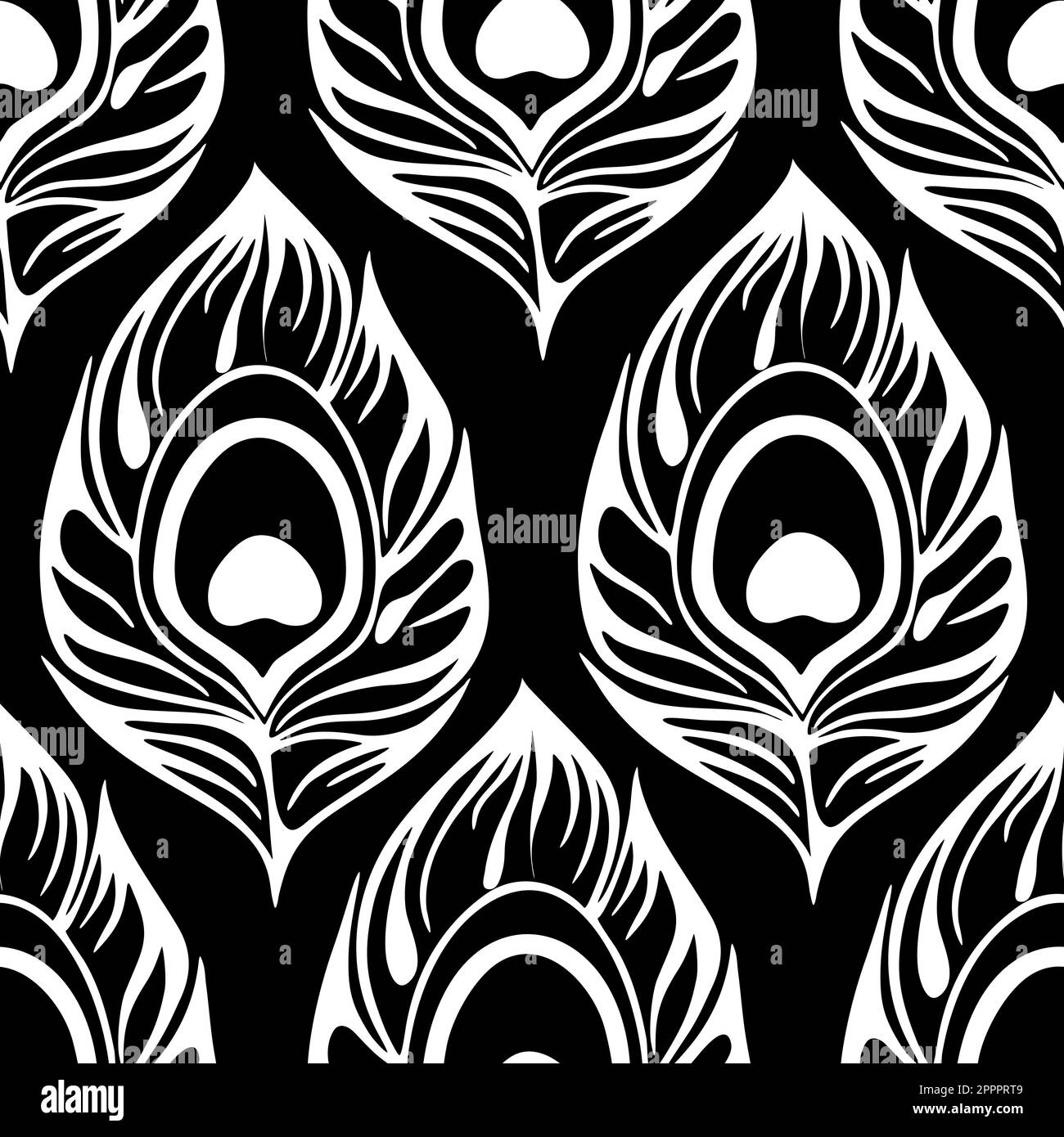 contorno senza cuciture di piume bianche di pavone su sfondo nero, texture, design Foto Stock