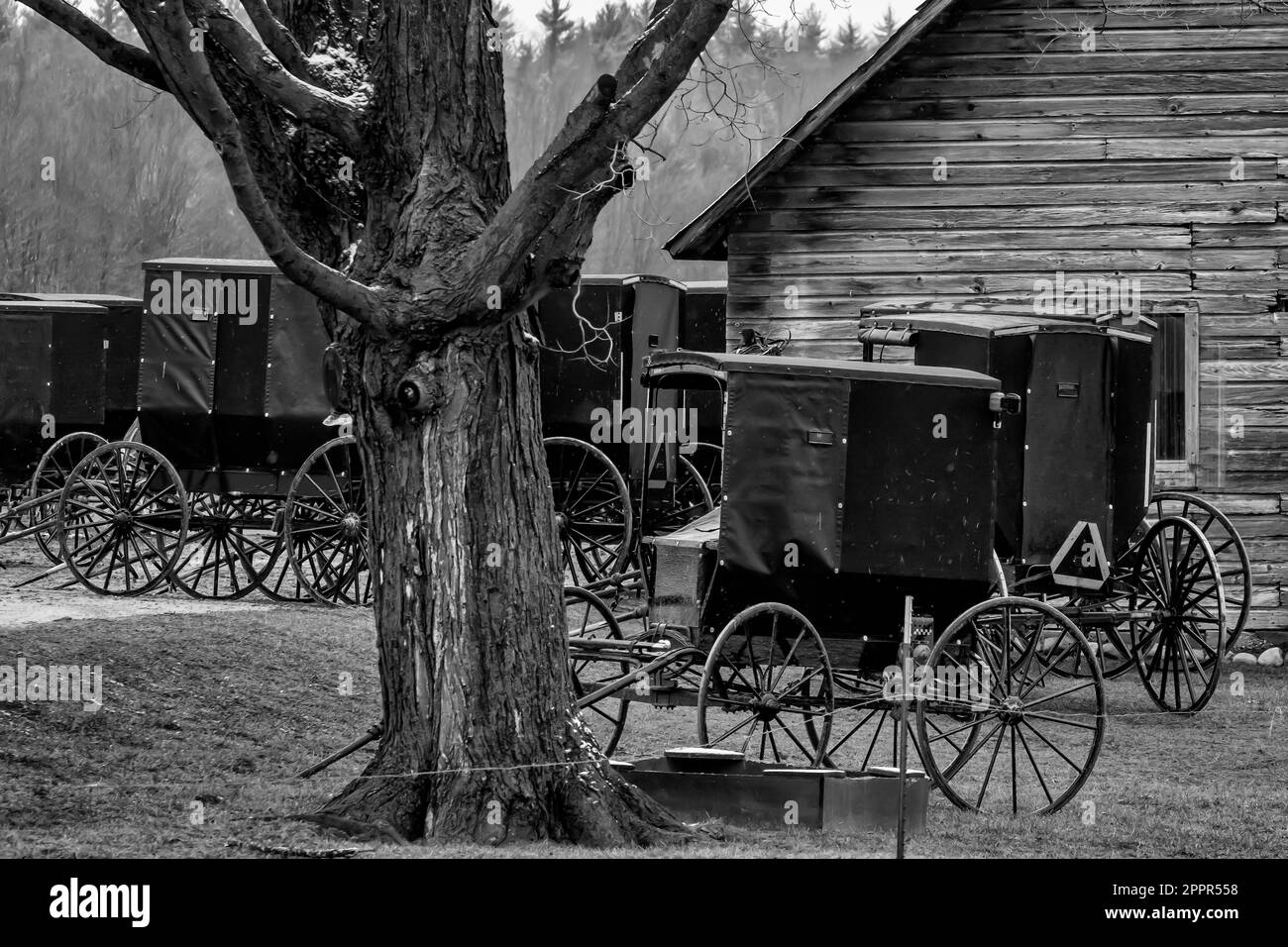 Incontro di uomini Amish in una fattoria in una comunità Amish nel Michigan centrale, USA [Nessuna proprietà rilasciata; solo licenza editoriale] Foto Stock